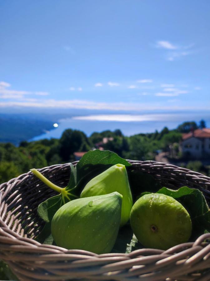 Uphill Opatija Apartment Esterno foto